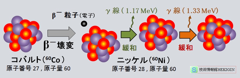 Co 60 のβ壊変とγ崩壊（イメージ図）